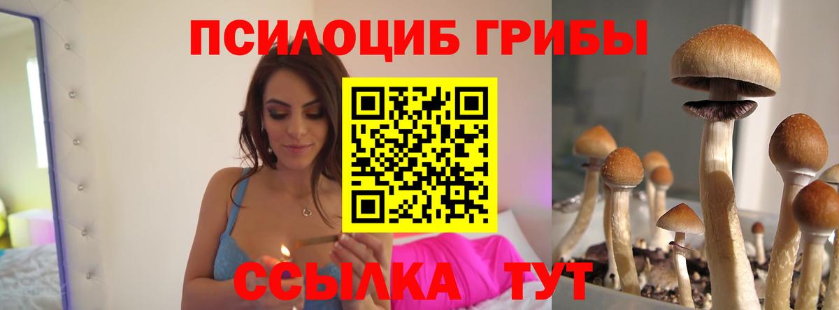 Чебаркуль  Галлюциногенные грибы Magic Shrooms  Вход с VPN 